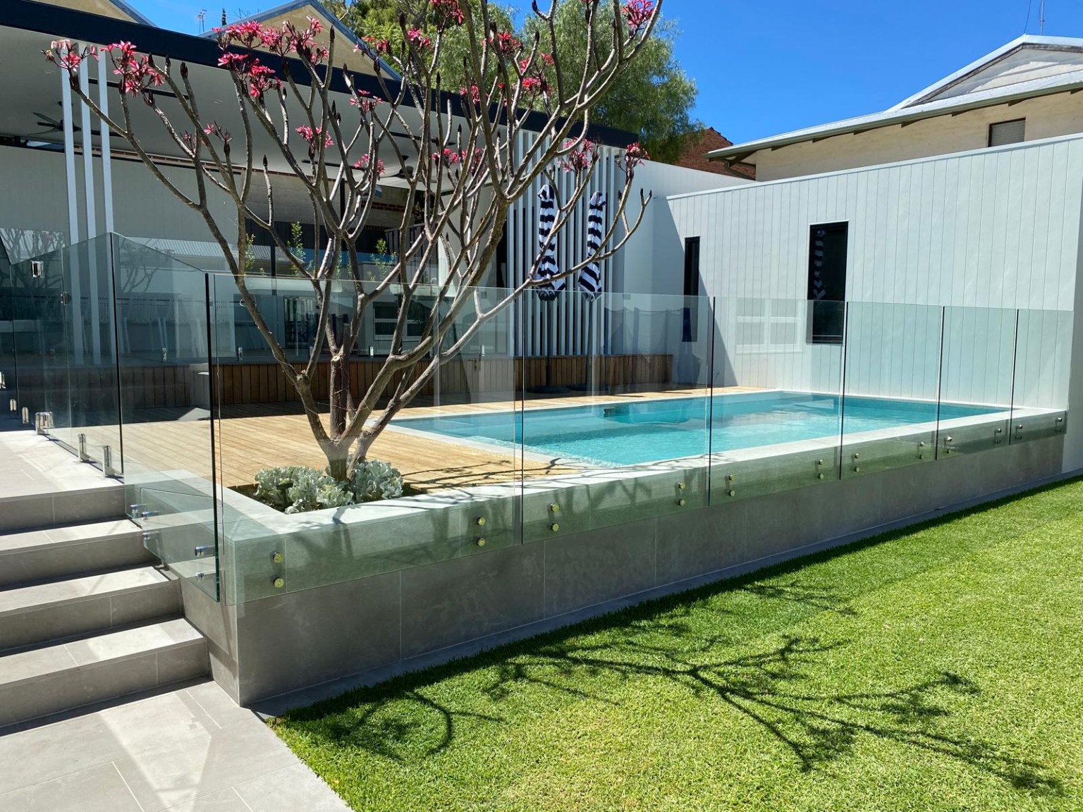 Pool and frameless glass fencing